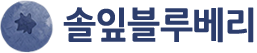 솔잎블루베리농장 | 무농약 친환경 블루베리 체험농장